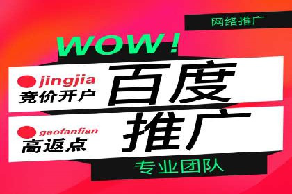 SEM推广竞价案例：提升广告投放效果